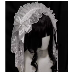 Bride of The Year Veil