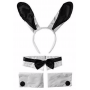 Animal Set - Bunny Accessories kit White