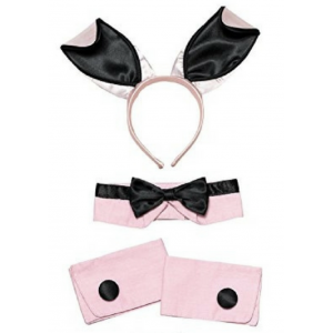 Animal Set - Pink Bunny Accessories kit