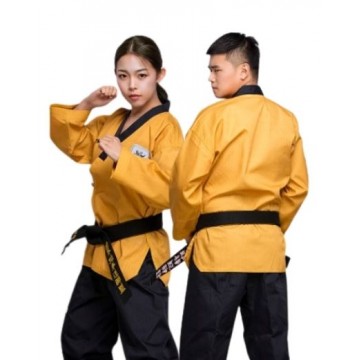 Master Teakwondo