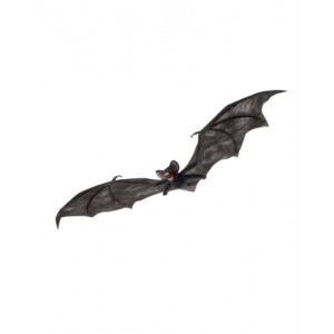 Vampire Bat