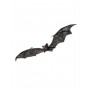 Vampire Bat