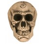 White Skull Head