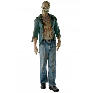 Decomposed Zombie