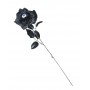 Rose With Eyeball
