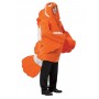 Clown Fish
