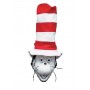 Cat in The Hat with Mask