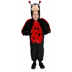 Cute Little Ladybug