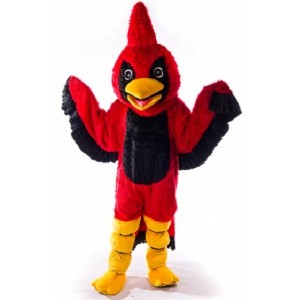 Cardinal Mascot