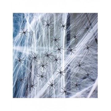 Spider Web with Spiders 100g