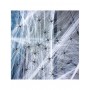 Spider Web with Spiders 200g