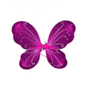 Magenta Butterfly Wings