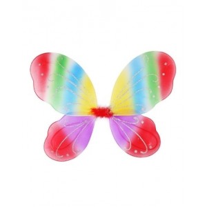Rainbow Butterfly Wings