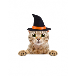 Witch Hat Cat