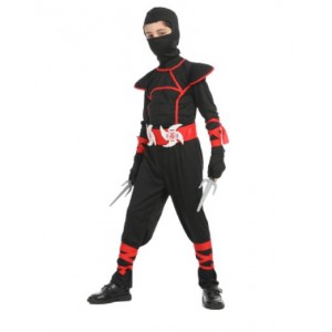 Red Ninja