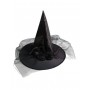 Witch hat with Veil