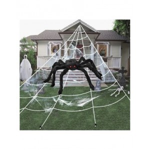 Spider Web - White (5m)