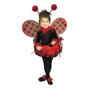Ladybug