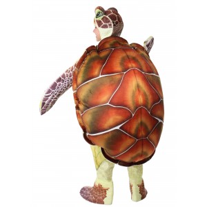 Sea Turtle