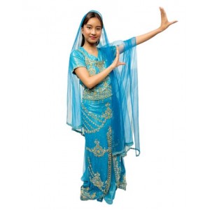 Lehenga Choli - Blue