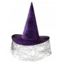 Spider Web with Veil Purple