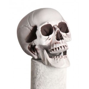Skull Head Decoration-11cm