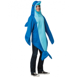 Cutie Dolphin