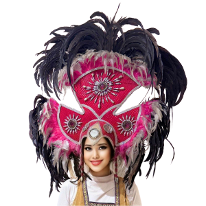 Native Traditional Headdress