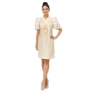 Modern Filipiniana Dress