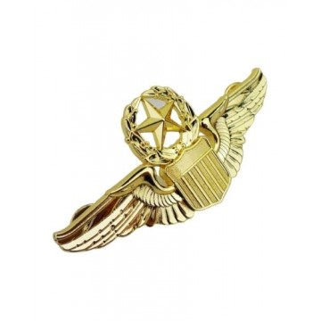 Aviator Gold Pin