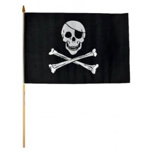 Pirate Flag with Skull