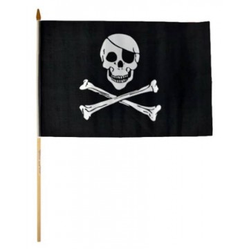 Pirate Flag with Skull