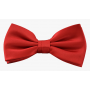 formal red bow tie